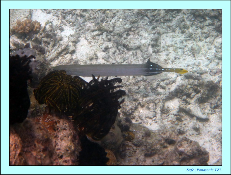 2009   07   Matakin 36